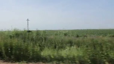 Hızlandırılmış görünümü sürüş kırsal yolda araba. Zaman atlamalı bir ülke yolda araba sürüş, görüntülemek sürücünün açısından, ön cam.