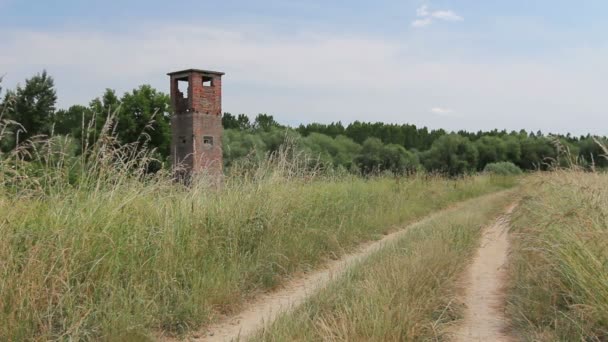 Antiga Torre Vigia Abandonada Coberto Entre Vegetação Grama Velha Torre — Vídeo de Stock