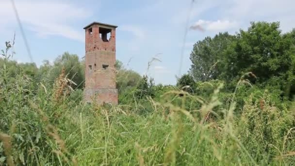 Αρχαίο Εγκαταλελειμμένο Πύργο Επιφυλακή Κατάφυτη Ανάμεσα Βλάστηση Χόρτο Τούβλο Παλιό — Αρχείο Βίντεο