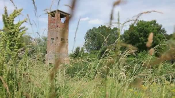 Αρχαίο Εγκαταλελειμμένο Πύργο Επιφυλακή Κατάφυτη Ανάμεσα Βλάστηση Χόρτο Τούβλο Παλιό — Αρχείο Βίντεο
