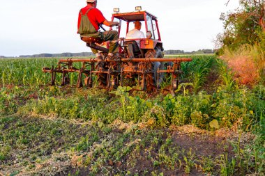 Çiftçiler traktör ile pulluk makine satırlar arasında sürükleyerek alan genç Mısır ile yetiştirilmesi. 