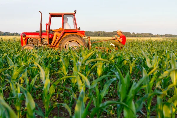 Jasa Tomic Vojvodina Serbia Giugno 2017 Gli Agricoltori Con Trattore — Foto Stock