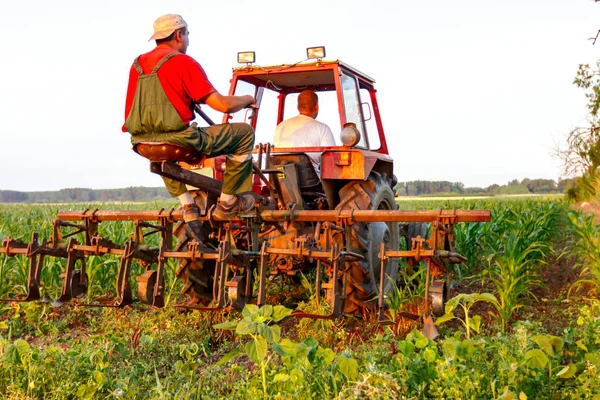 Çiftçiler Traktör Ile Pulluk Makine Satırlar Arasında Sürükleyerek Alan Genç — Stok fotoğraf