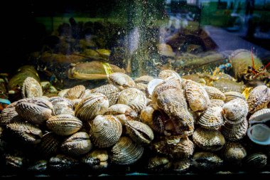 Canlı istiridyeler akvaryumda satılık geleneksel deniz ürünleri restoranında akvaryum, deniz kabukları..