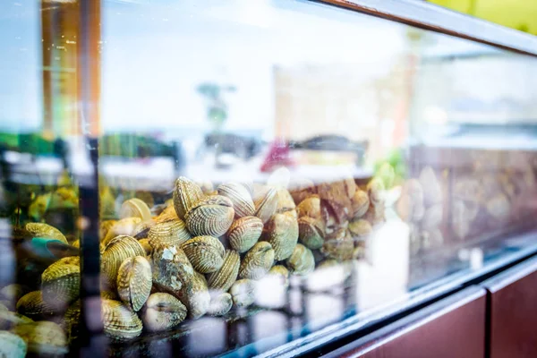 Live Clams Aquarium Tank Traditional Seafood Restaurant Sale Sea Shells — Stock Photo, Image