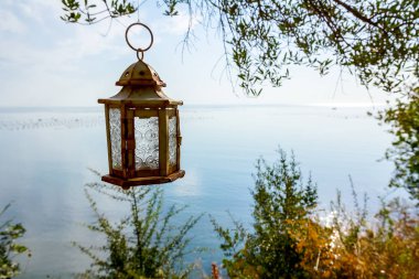 Fener ağaç dalı açık deniz yüksek üzerinde asılı.