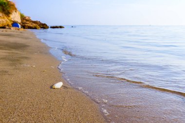 Deniz kum plajındaki türüniskelet yıkanmış.