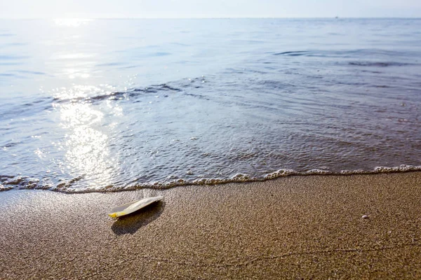 Чашу Омывает Море Песчаном Пляже — стоковое фото