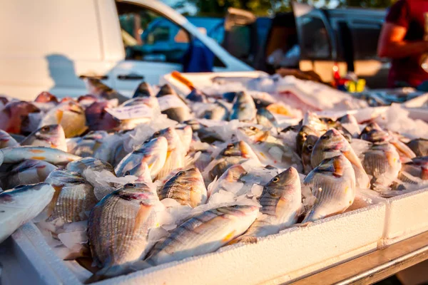 Pilha Peixe Fresco Para Venda Mercado Peixe Marisco Livre — Fotografia de Stock