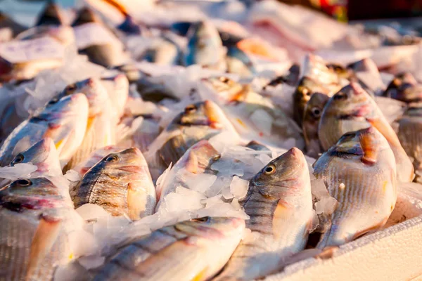 新鮮な魚魚屋 屋外の魚介類の市場の販売のための杭 — ストック写真