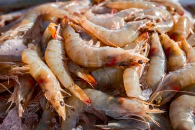 Taze karides veya Satılık deniz ürünleri piyasada, buzda balık Pasifik beyaz karides yığını.