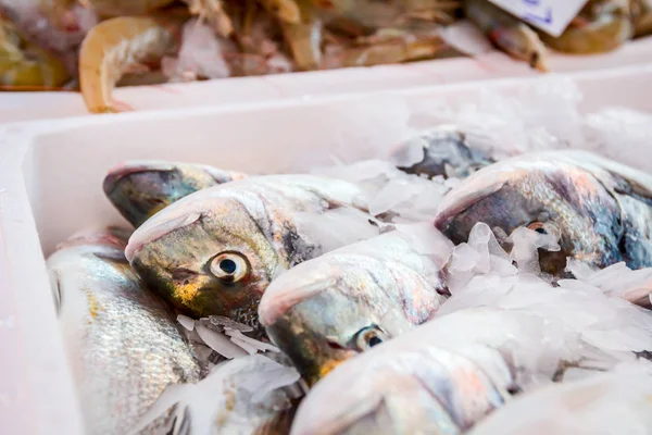 Stapel Van Verse Dorado Vis Koop Visboer Buiten Vismarkt — Stockfoto