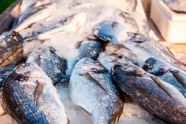 Stapel Van Verse Dorado Vis Koop Visboer Buiten Vismarkt — Stockfoto