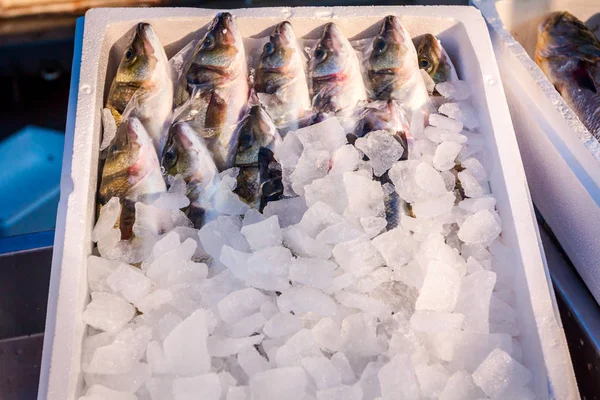 新鮮なスズキの山スズキ 魚魚屋 屋外の魚介類の市場の販売のため — ストック写真