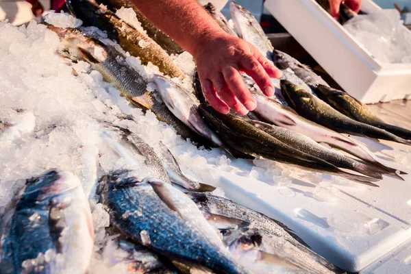 Verkoper Hand Tot Het Regelen Van Vis Stand Koop Buiten — Stockfoto