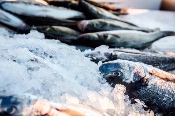 Högen Färsk Dorado Fisk Till Salu Fiskhandlare Utomhus Fiskmarknaden — Stockfoto