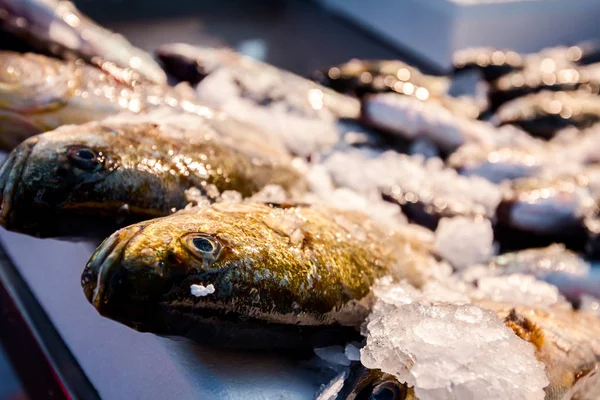 Peixe Fresco Está Venda Mercado Peixe Frutos Mar Livre — Fotografia de Stock