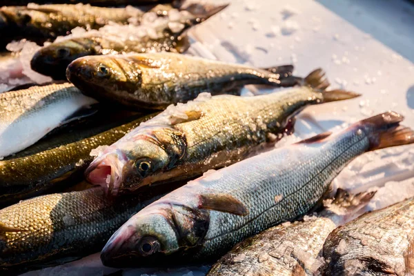 Stapel Van Verse Branzino Zee Baars Mullet Vis Koop Visboer — Stockfoto