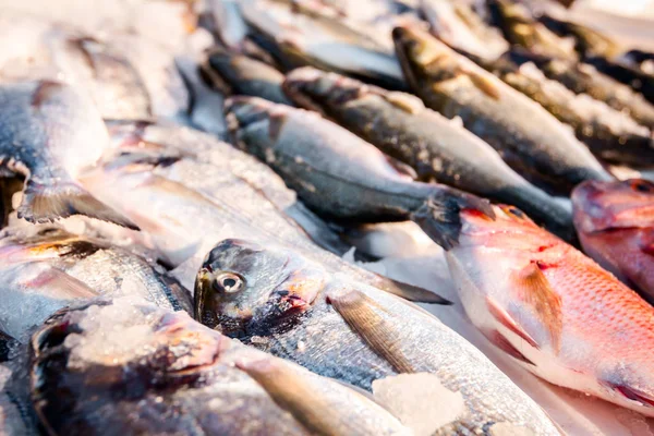 屋外の魚介類の市場の販売のための別の新鮮な魚の山 — ストック写真