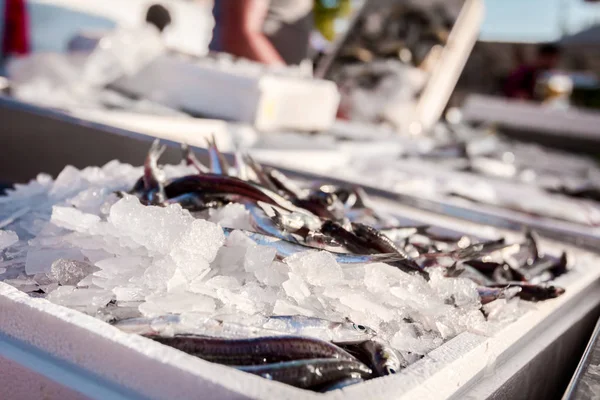 Haufen Frischer Europäischer Sardellen Zum Verkauf Auf Dem Fischhändler Outdoor — Stockfoto