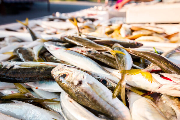 Pile of different fresh fish for sale on the fishmonger, outdoor seafood market.