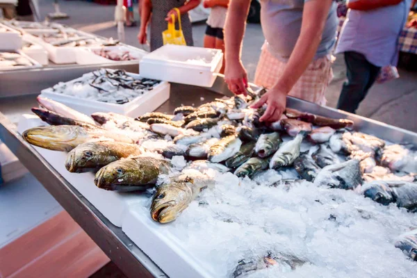 Mão Vendedor Até Está Organizando Peixes Stand Para Venda Mercado — Fotografia de Stock