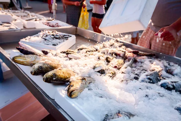 Säljarens Hand Tills Arrangerar Fisk Stativ Till Salu Loppis Utomhus — Stockfoto