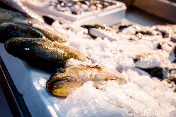 新鮮な魚は魚屋 屋外シーフード マーケットで販売 — ストック写真