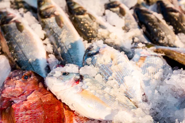 Högen Olika Färsk Fisk Till Salu Fiskhandlare Utomhus Fiskmarknaden — Stockfoto