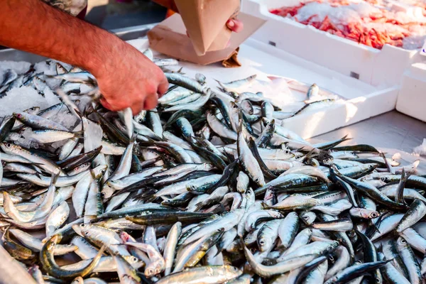 Vendedor Está Colocando Anchova Peixes Pilchard Sardina Pilchardus Peixe Frutos — Fotografia de Stock