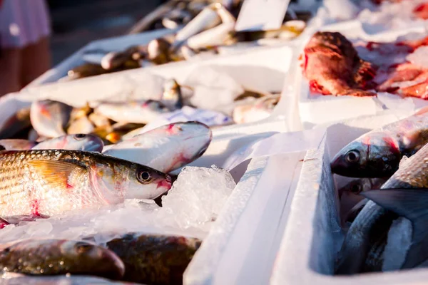 Купка Свіжої Плоскої Риби Продажу Риболовлі Відкритому Ринку Морепродуктів — стокове фото