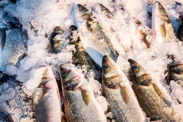 新鮮なスズキの山スズキ 魚魚屋 屋外の魚介類の市場の販売のため — ストック写真