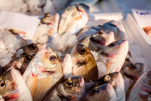 Pile Fresh Dorado Fish Sale Fishmonger Outdoor Seafood Market — Stock Photo, Image