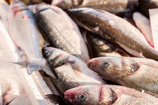 Pilha Branzino Fresco Poleiro Mar Tainha Peixe Para Venda Peixeiro — Fotografia de Stock