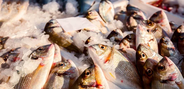 Купка Свіжої Риби Дорадо Продажу Риболовлі Відкритому Ринку Морепродуктів — стокове фото