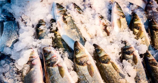 Купа Свіжих Висівок Морський Окунь Маллет Риба Продажу Рибному Ринку — стокове фото