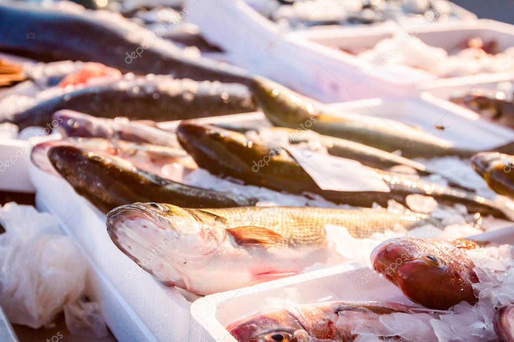 Pile of different fresh fish for sale on the fishmonger, outdoor seafood market.