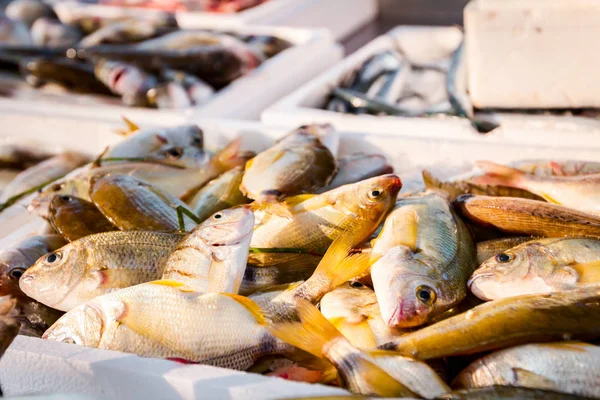 新鮮な魚魚屋 屋外の魚介類の市場の販売のための杭 — ストック写真