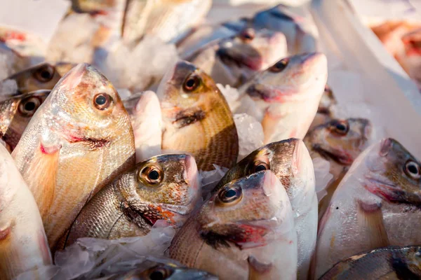 ドラド鮮魚魚屋 屋外の魚介類の市場の販売のための杭 — ストック写真
