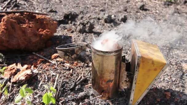 Pot Fumant Apiculteur Avec Fumée Ouvert Sur Sol Apiariste Apiculteur — Video