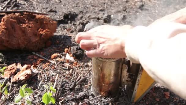 Apiarista Apicultor Prepara Fumante Para Usar Uma Colméia Apicultor Está — Vídeo de Stock