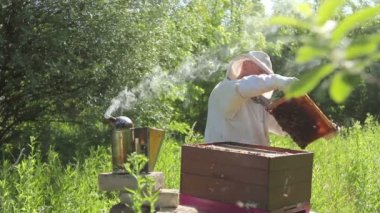 Arıcı, arı kolonisindeki kontrol durumu ve ahşap çerçeveli bal peteği üzerinde bir sürü aktivite arıyor..