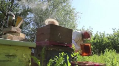 Üst düzey arıcılar dışarı ahşap çerçeve üzerinde petek arı kolonisi durumda denetim alıyor.