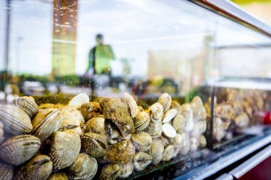 Shells for sale, sea clams inside aquarium in a restaurant clipart