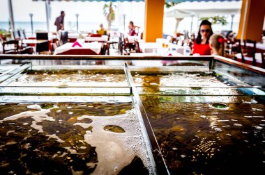 Bir restauran bölünmüş akvaryum içinde satılık taze deniz ürünleri