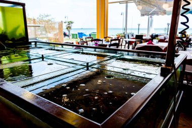 Bir restauran bölünmüş akvaryum içinde satılık taze deniz ürünleri