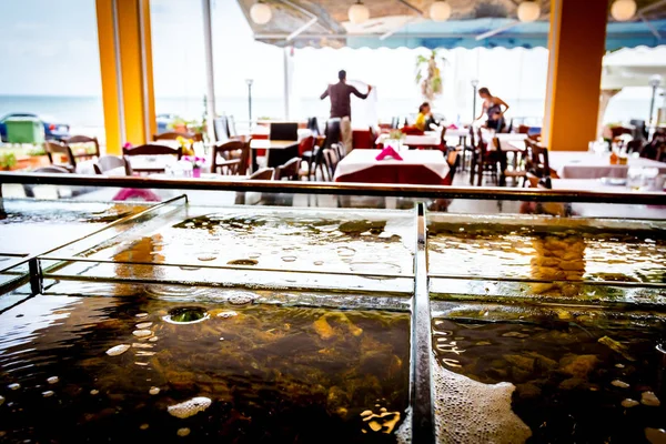 Bir restauran bölünmüş akvaryum içinde satılık taze deniz ürünleri