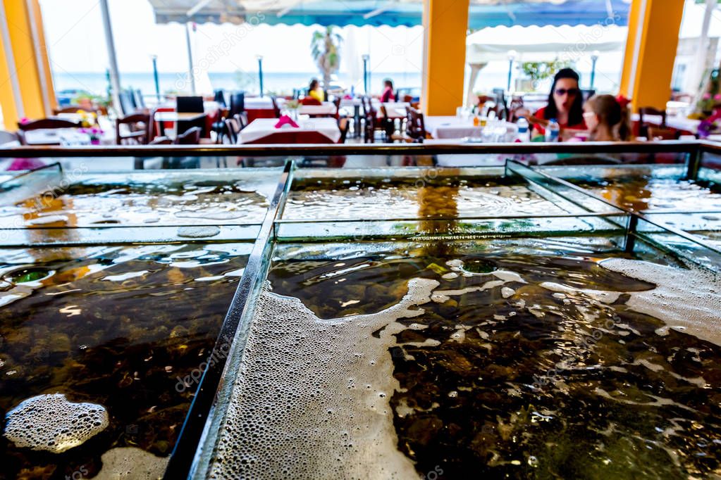 Fresh seafood for sale inside of divided aquarium in a restauran