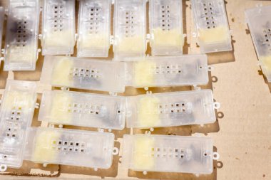 Arı kraliçesi ve birkaç arı ile küçük kafes