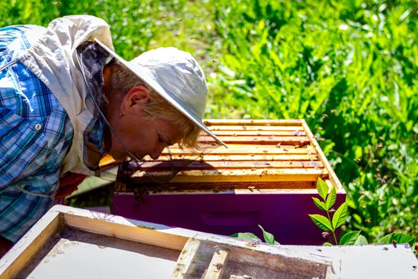 Η ηλικιωμένη γυναίκα μελισσοκόμος — Φωτογραφία Αρχείου